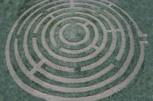 Grass Maze
