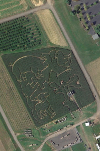 Farm Animal Corn Maze