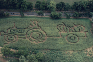 Pumpkin and Tractor Corn Maze